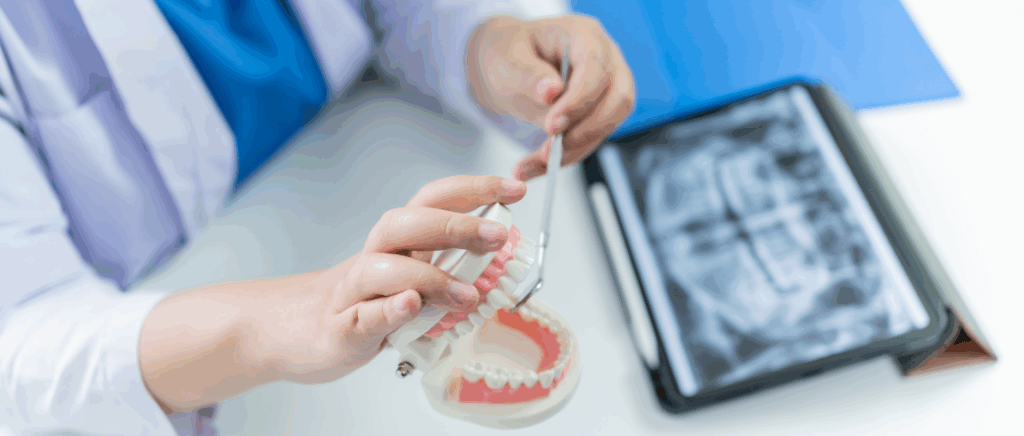 A imagem mostra uma dentista, representando um dos grupos que serão impactados pela Reforma Tributária. Ela está sentada em frente a uma mesa. Sobre a mesa tem um tablet com imagem de um raio-X. Ela está segurando o molde de uma boca e apontando para os dentes superiores da frente, possivelmente explicando algo a um paciente.